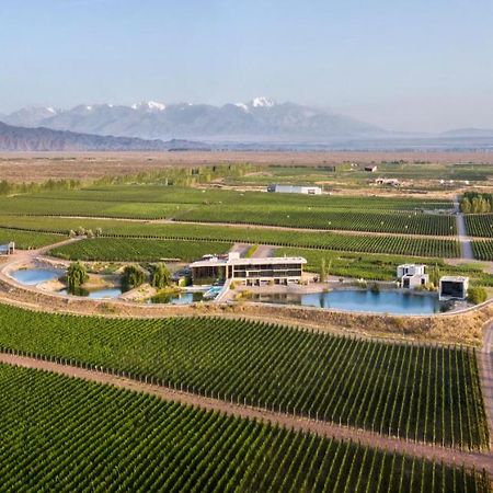 Casa De Uco Vineyards And Wine Resort Los Árboles Eksteriør bilde