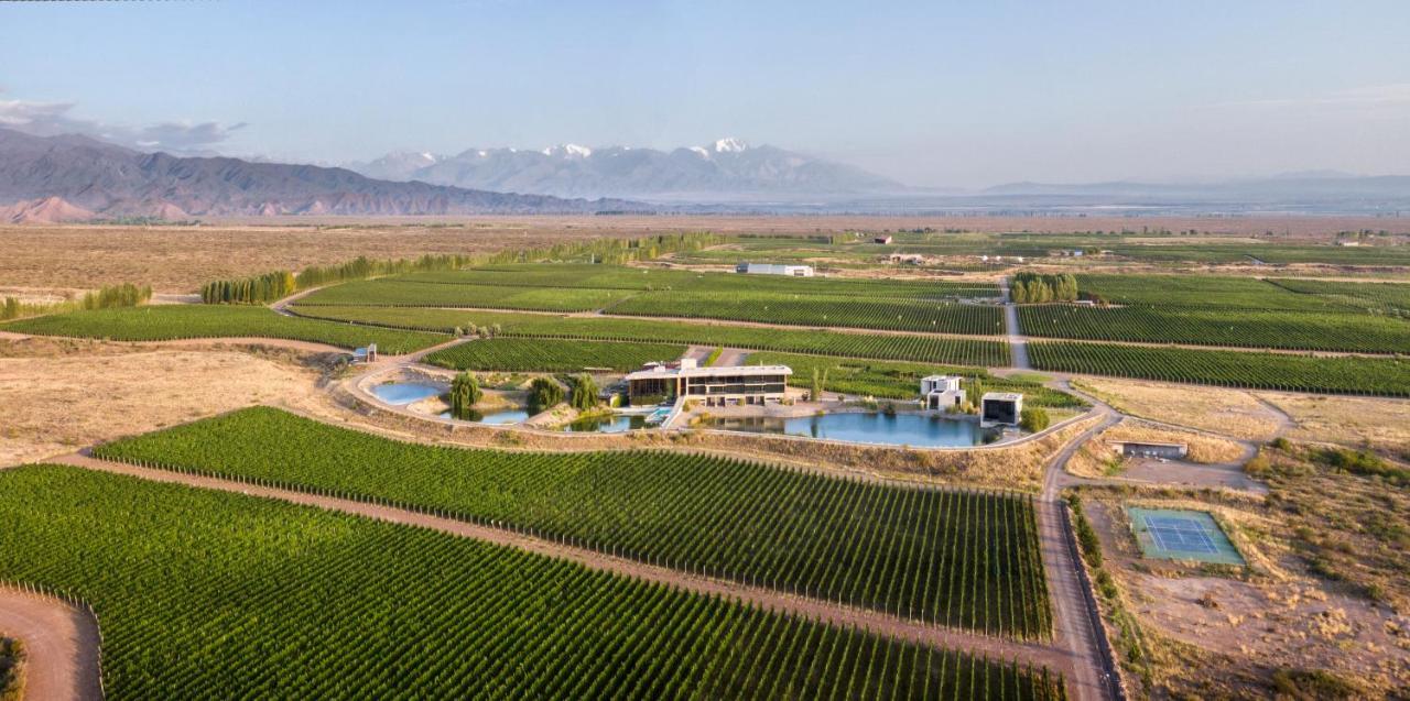 Casa De Uco Vineyards And Wine Resort Los Árboles Eksteriør bilde