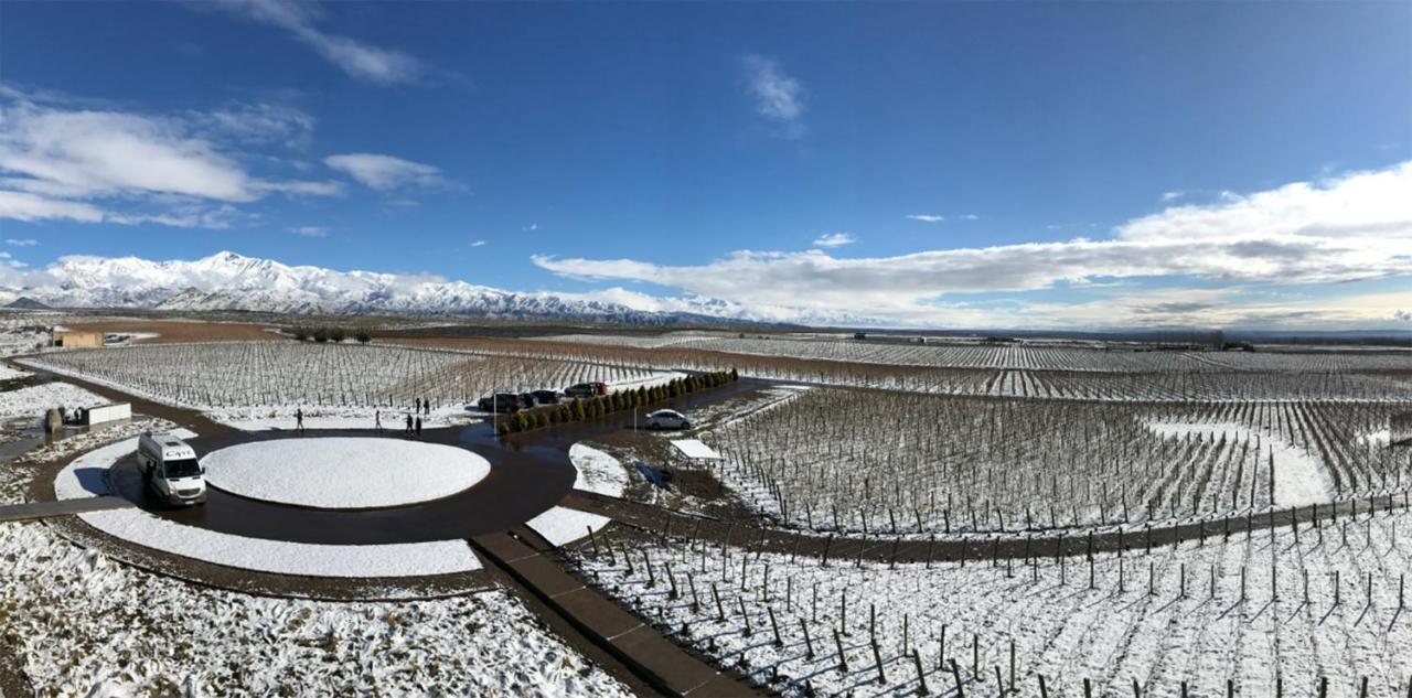 Casa De Uco Vineyards And Wine Resort Los Árboles Eksteriør bilde