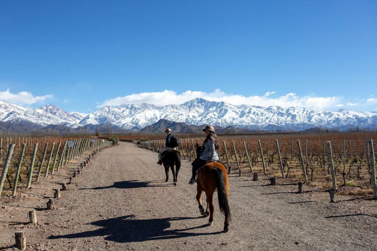 Casa De Uco Vineyards And Wine Resort Los Árboles Eksteriør bilde